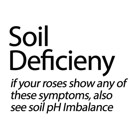 Soil Deficiency